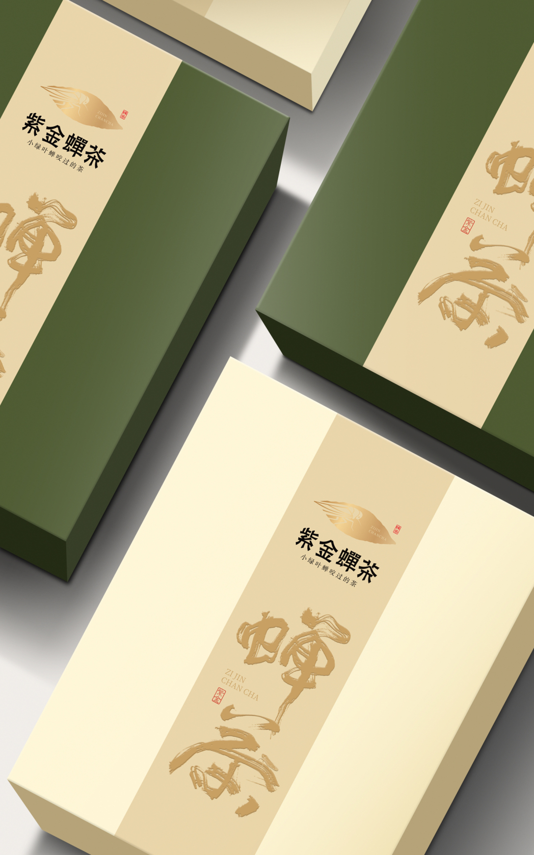 紫金蝉茶x奥驰紫金蝉茶被小绿叶蝉咬过的茶是什么样子