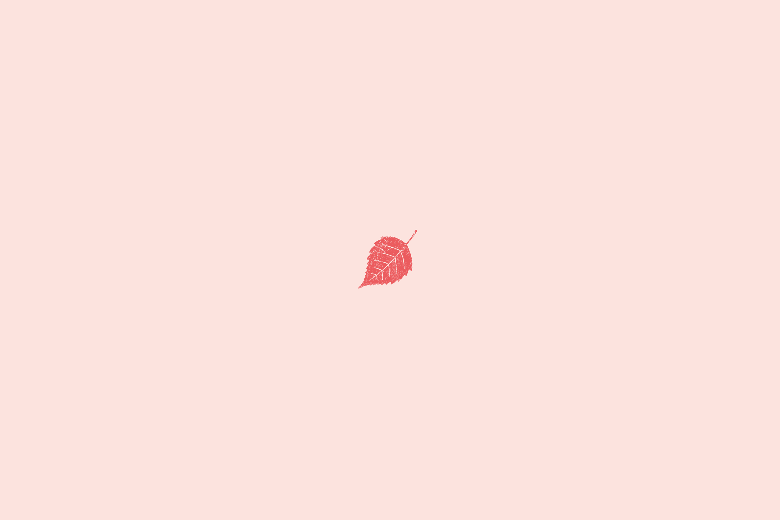 2558_1705gif 动态图 动图