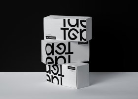 img09