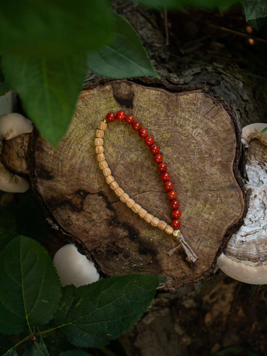 有意思出品 | 产品摄影 | 红豆百香籽单圈---文玩手串