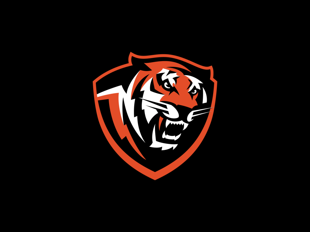 logo虎年标志设计合集