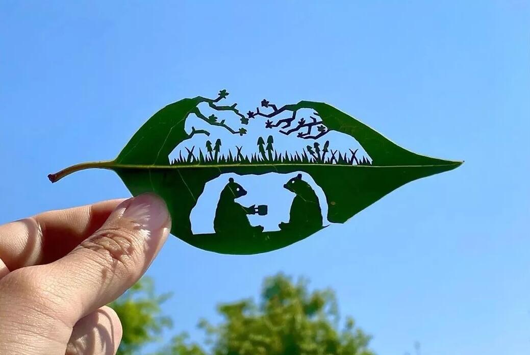 一草一木发现艺术美