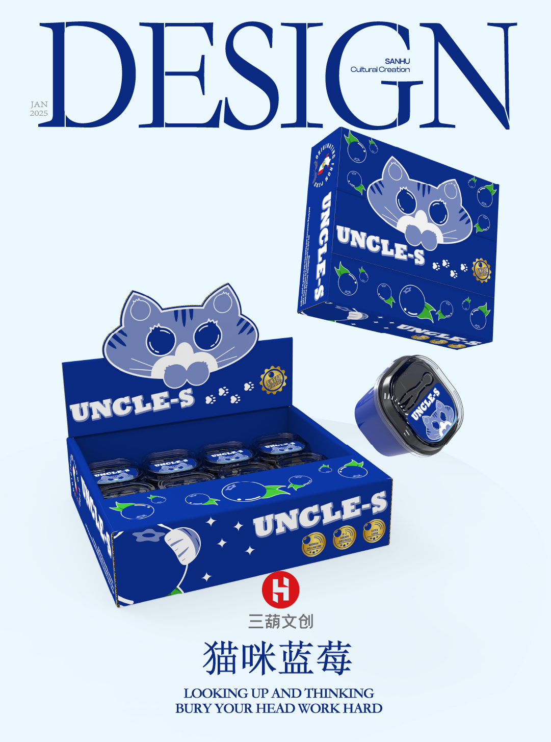 蓝莓礼盒包装,为美味披上魅力外衣