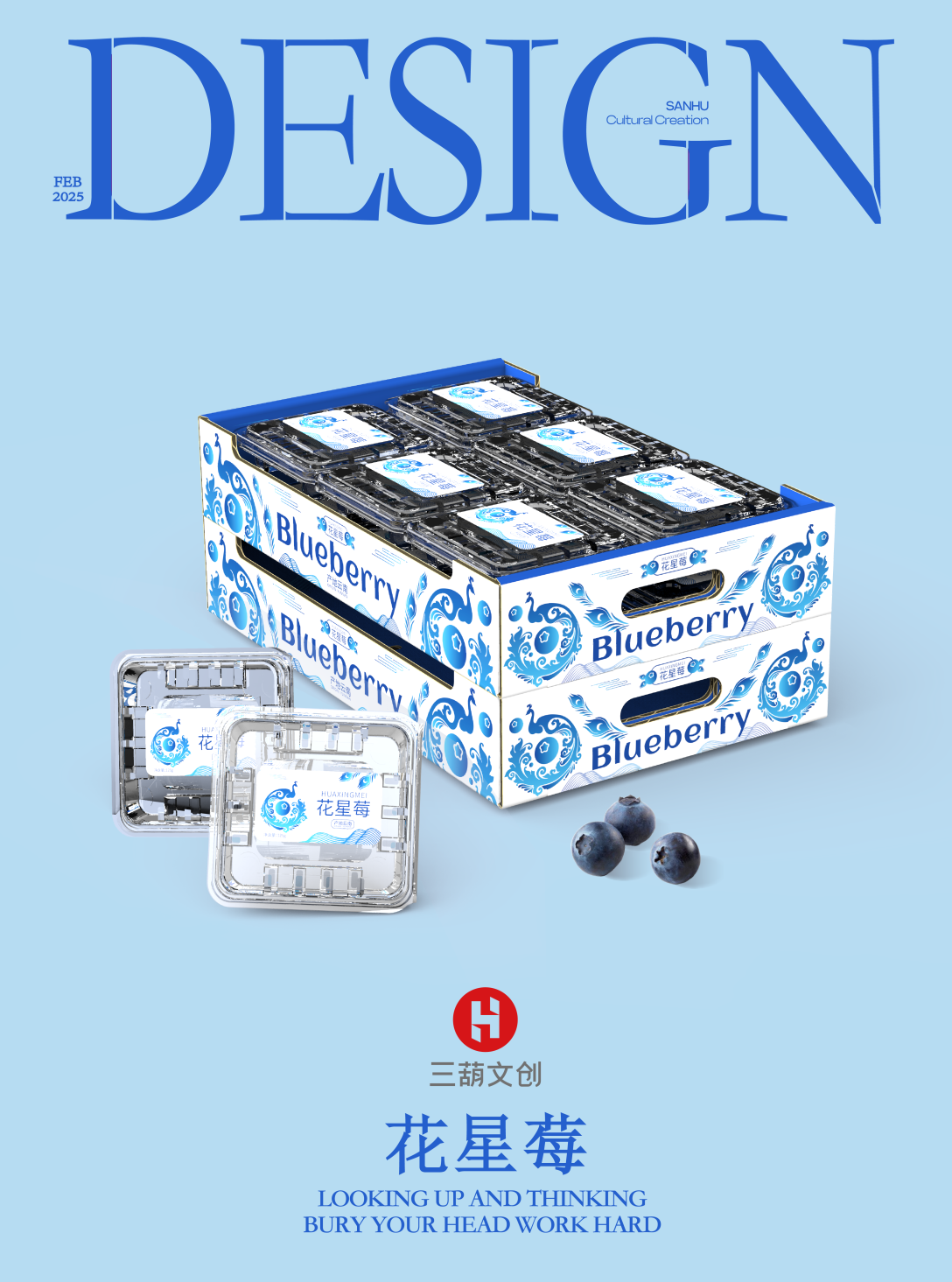 蓝莓礼盒包装,为美味披上魅力外衣