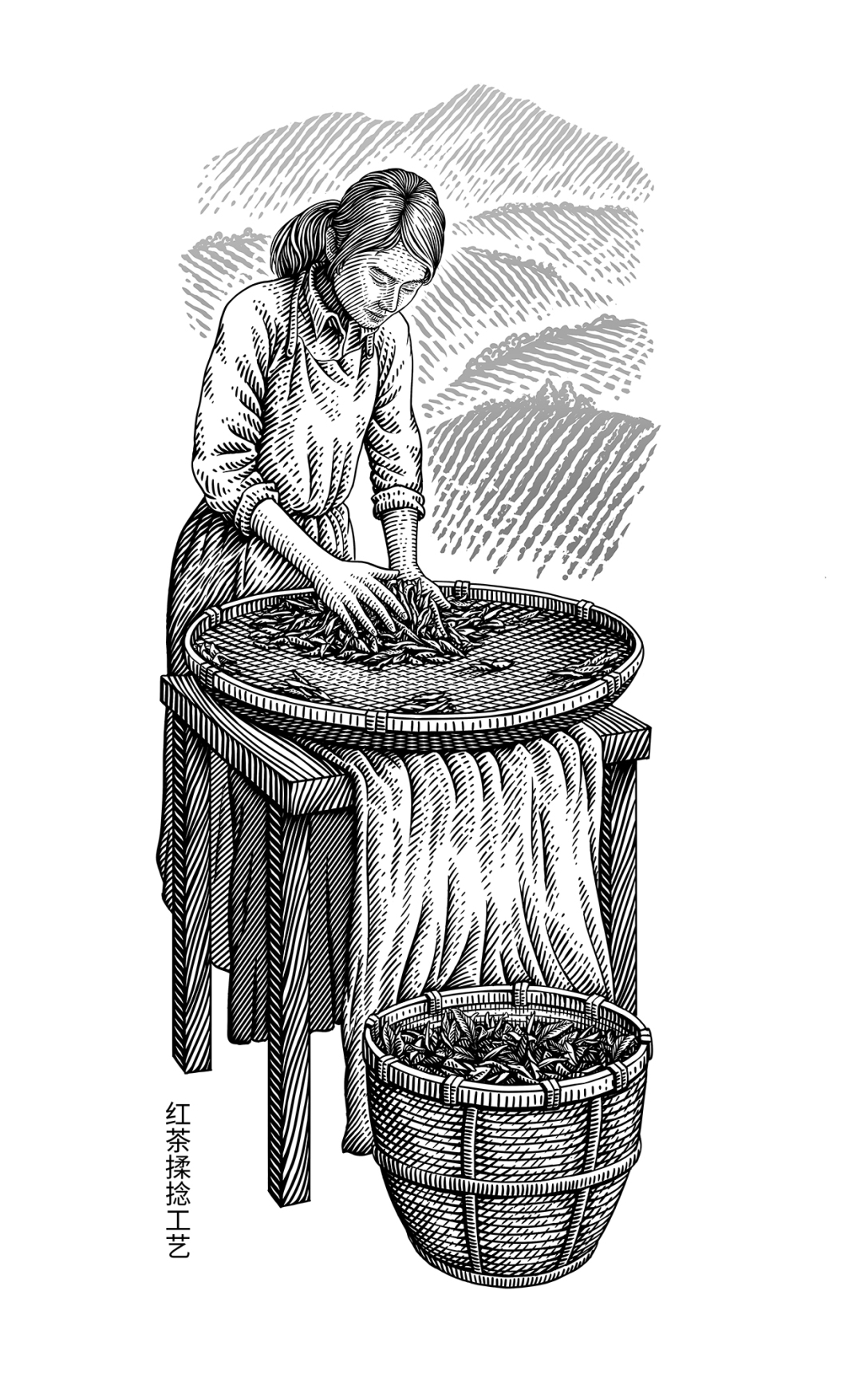 手绘插画让茶高山茶版画风格包装