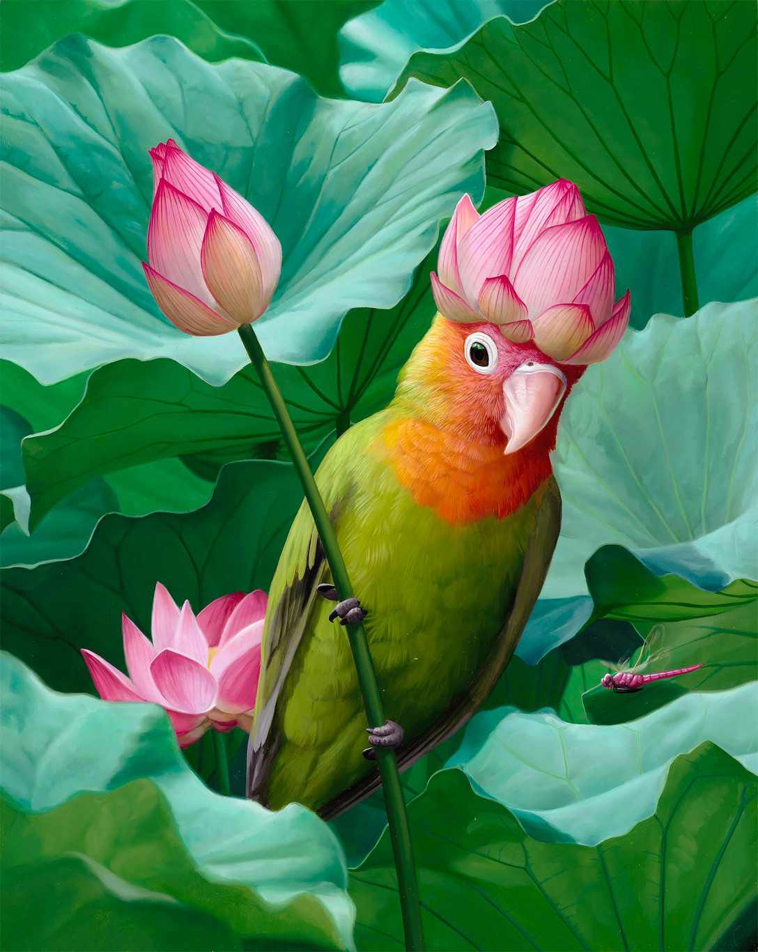 知言合一教育分享丨动植物:joy ching的画作