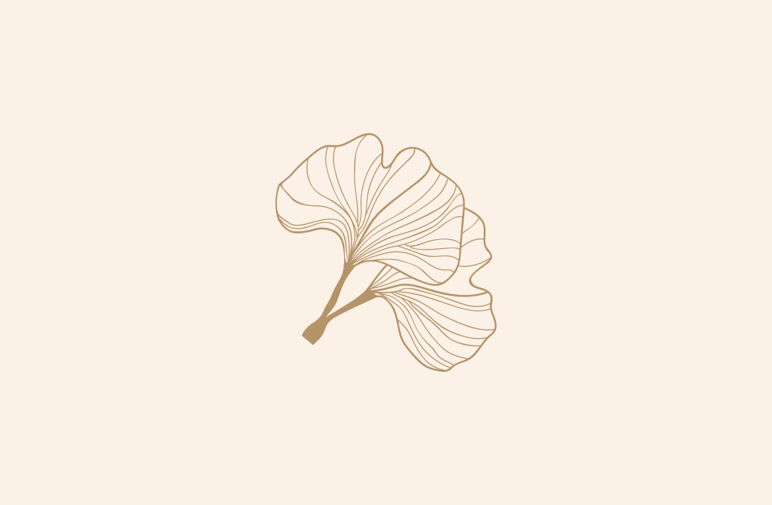 银杏护肤系列从容舒适的高级感