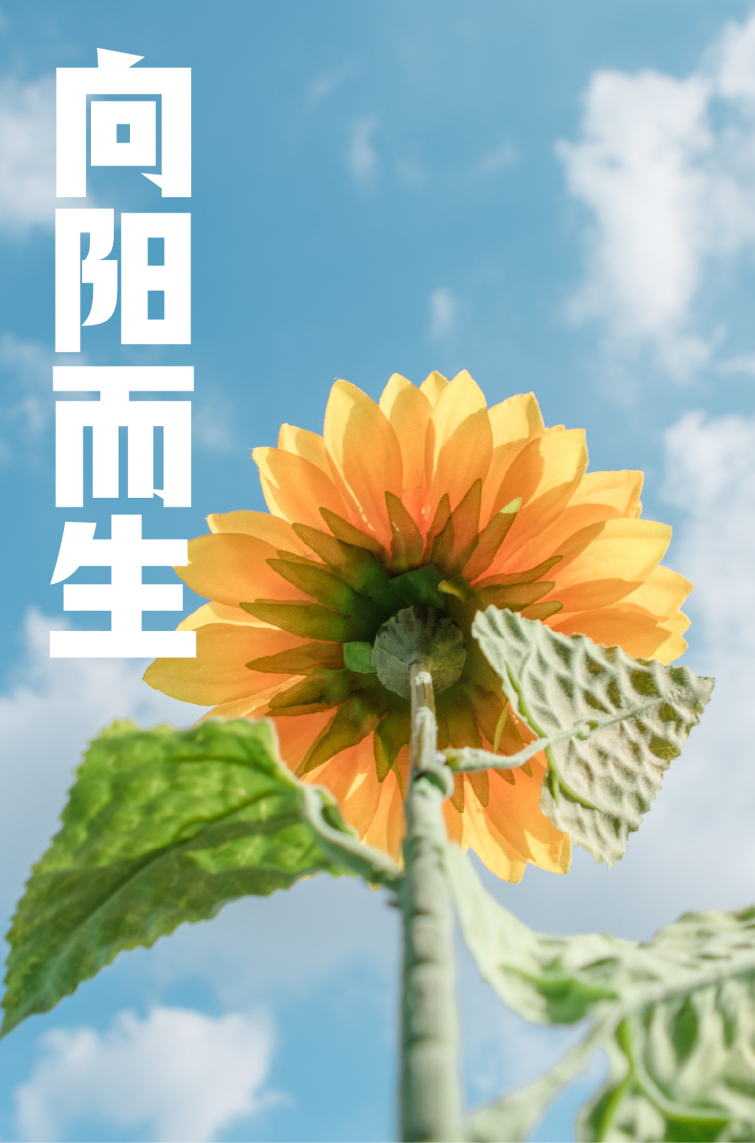 新字发布|仓耳力士体-古田路9号-品牌创意/版权保护平台