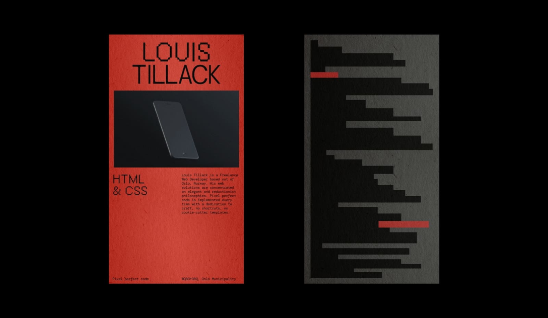 his web solutions are concentrated on elegant and reductionist