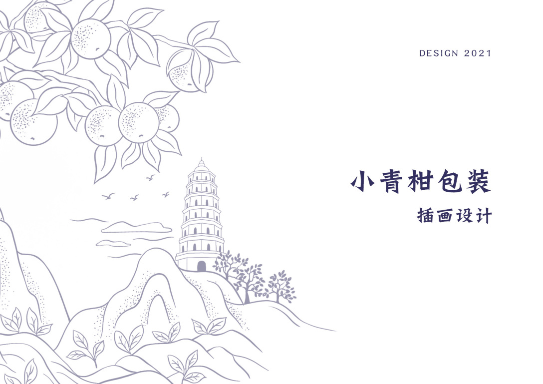 新会小青柑产品包装插画设计熊子塔小鸟天堂茶叶包装