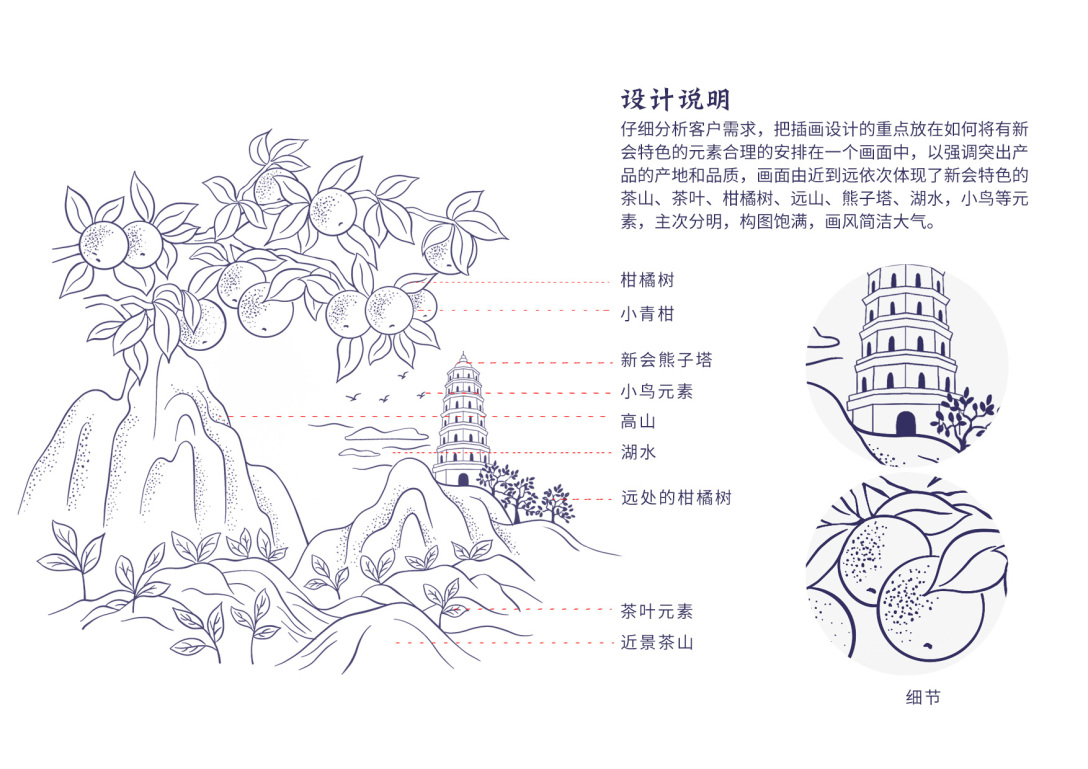 新会小青柑产品包装插画设计熊子塔小鸟天堂茶叶包装