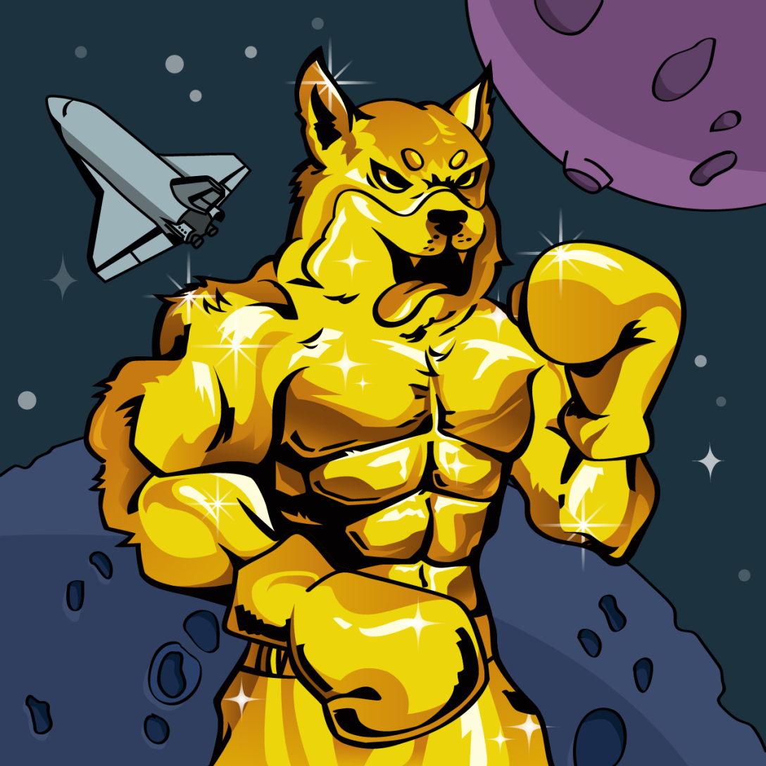 nft数字藏品柴犬搏击ip形象设计