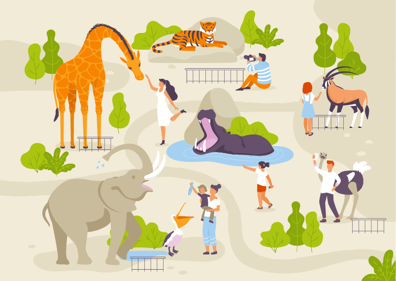 zoo: animals and people acting with them