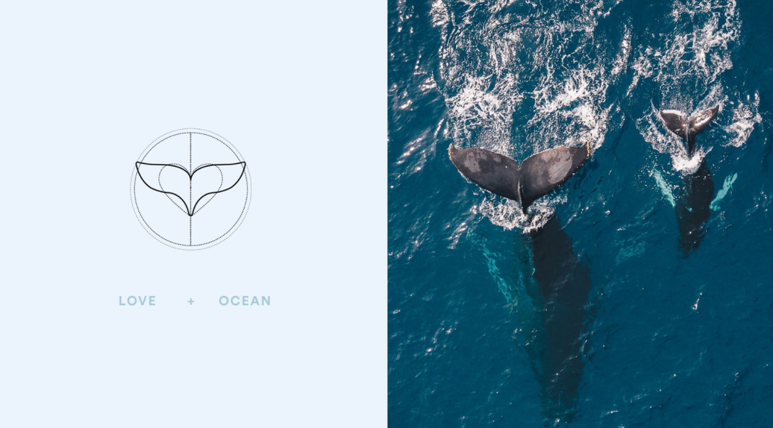 儿童沐浴露包装设计