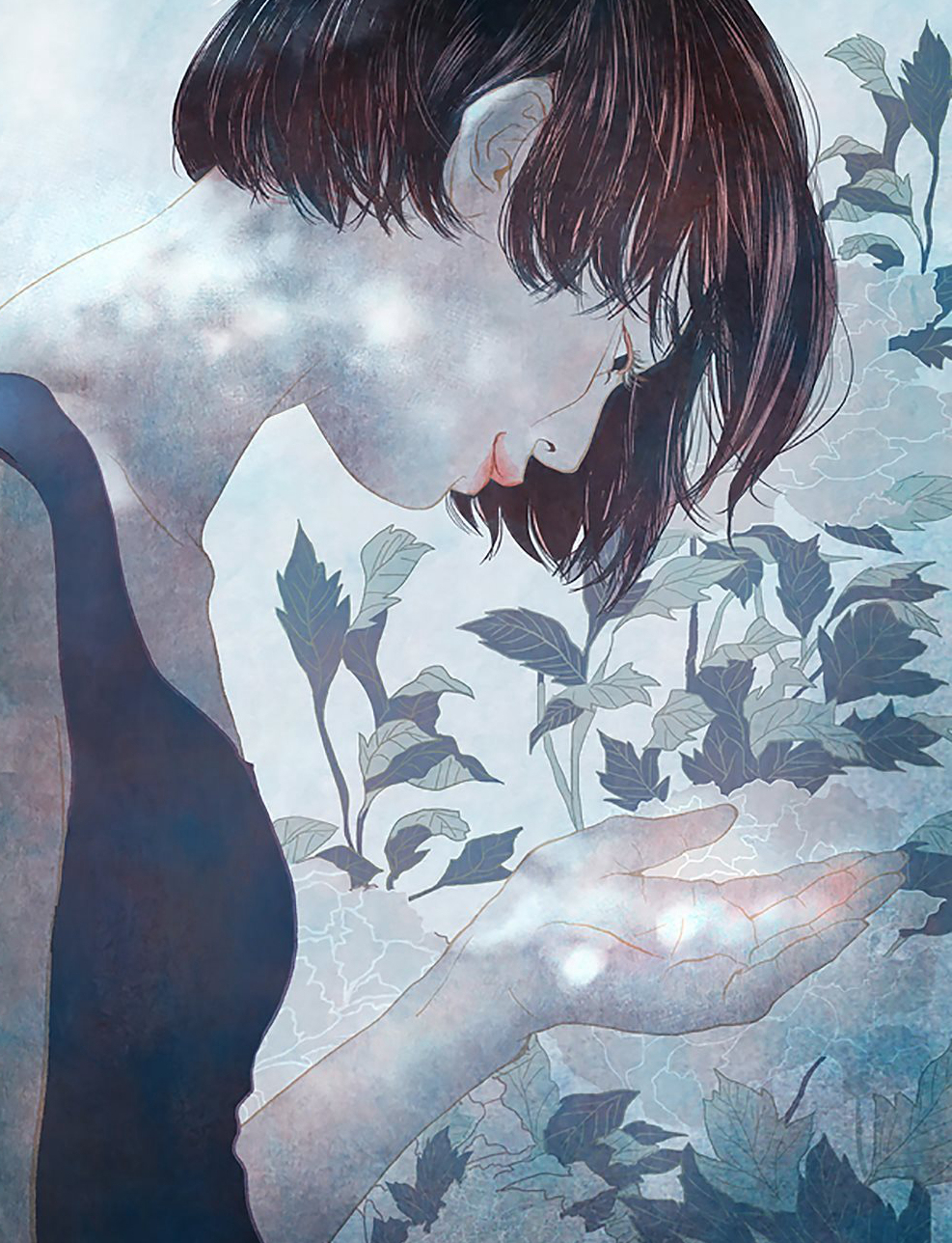 韩国zipcy唯美插画