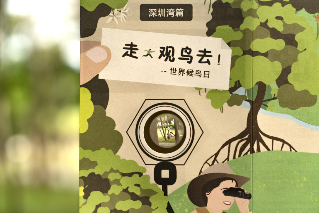 世界候鸟日-观候鸟折页及海报