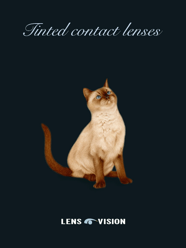 Tinted contact lenses gif古田路9号品牌创意/版权保护平台