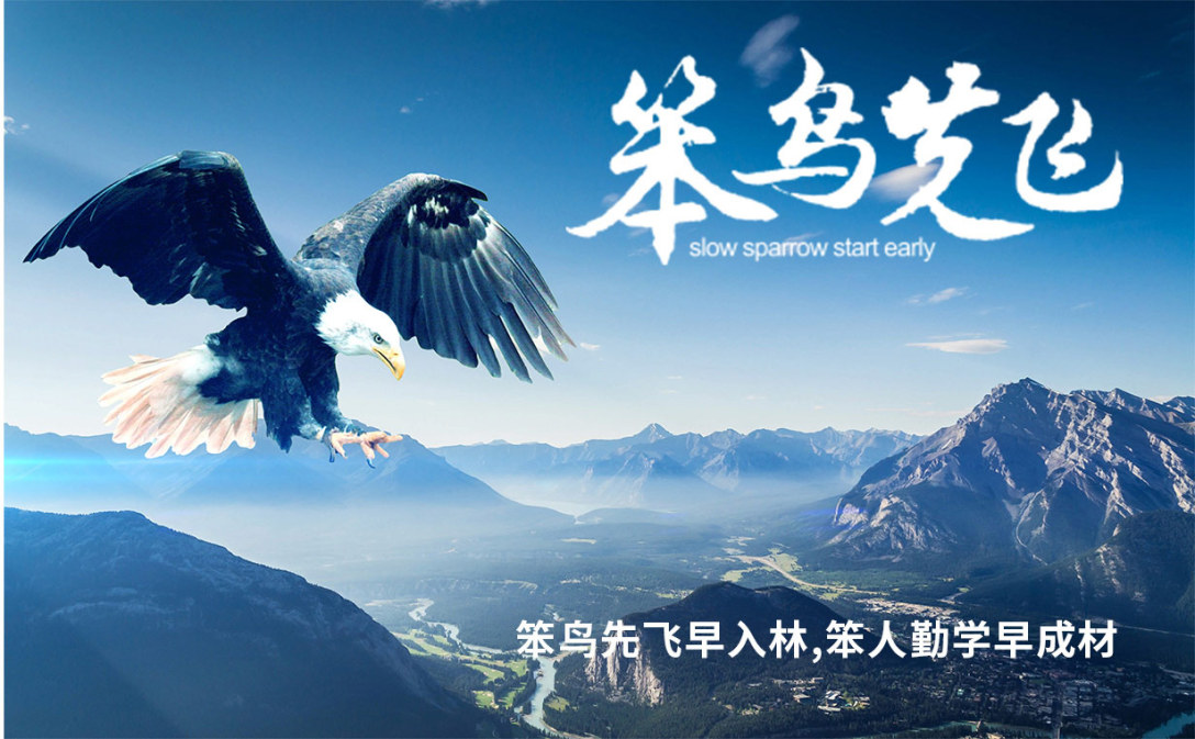 笨鸟先飞品牌标志设计