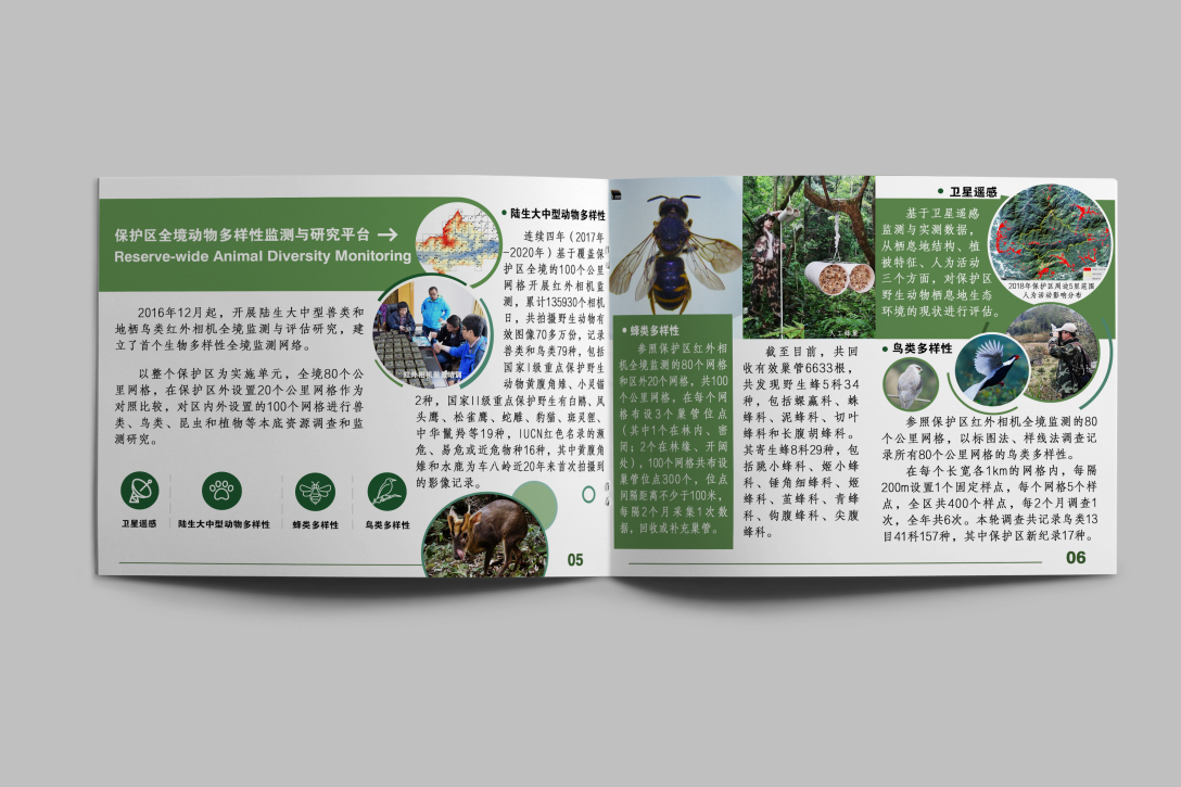 车八岭常见手绘植物宣传册书籍