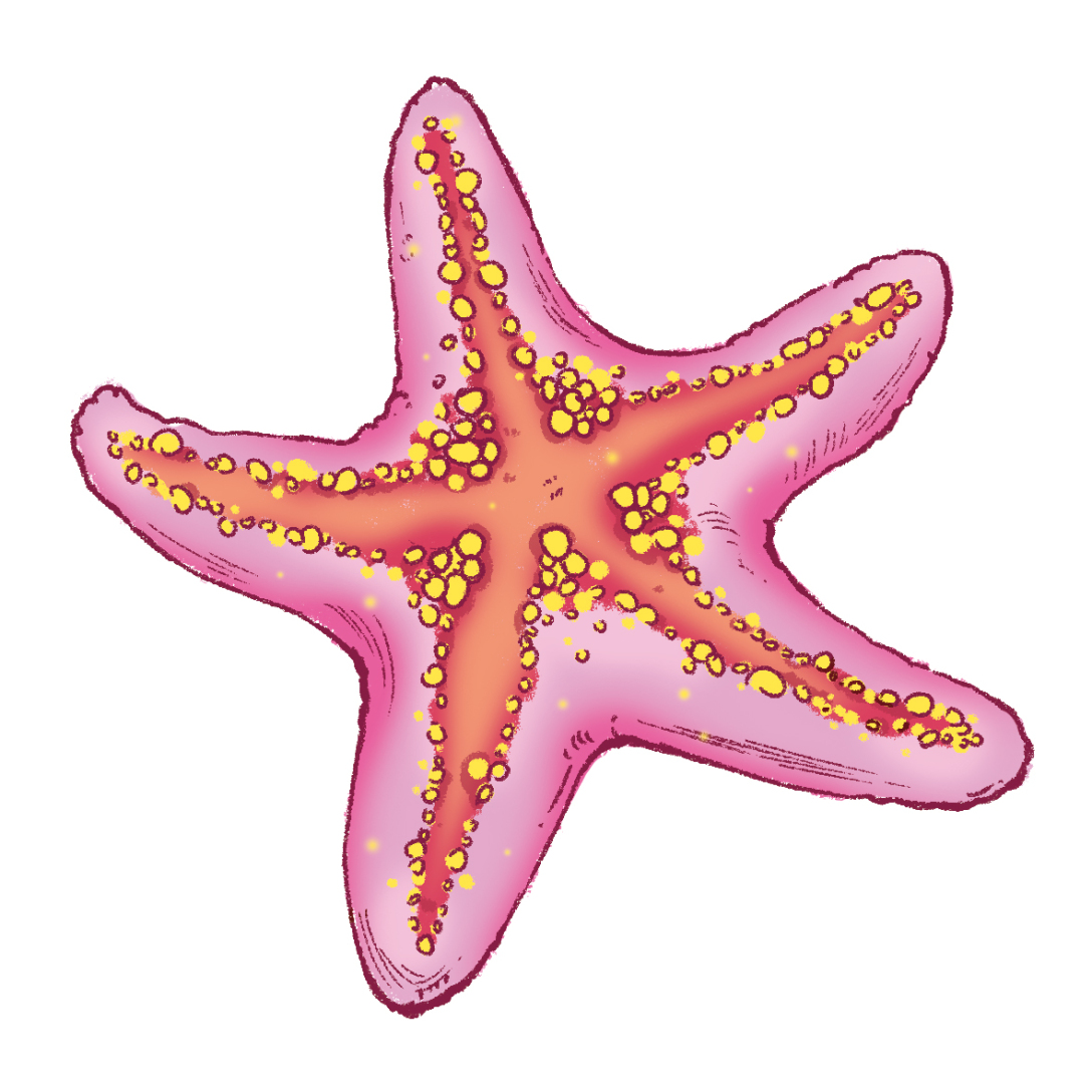 海洋生物系列插画-古田路9号-品牌创意/版权保护平台