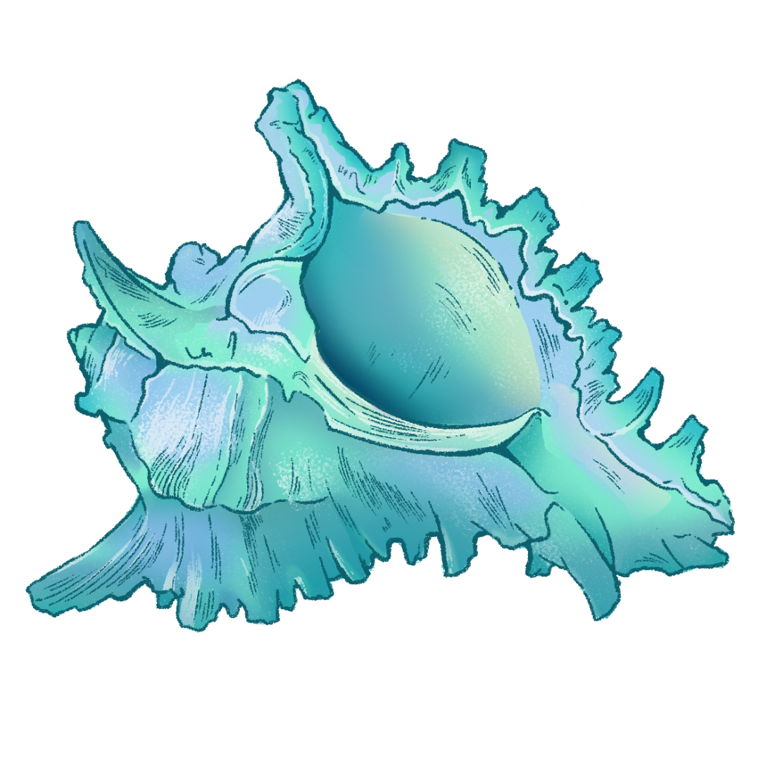 水母海马章鱼座头鲸海豹虎鲸螃蟹海龟海洋生物插画评论关注湖南省