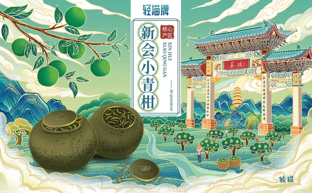 新会小青柑插画包装