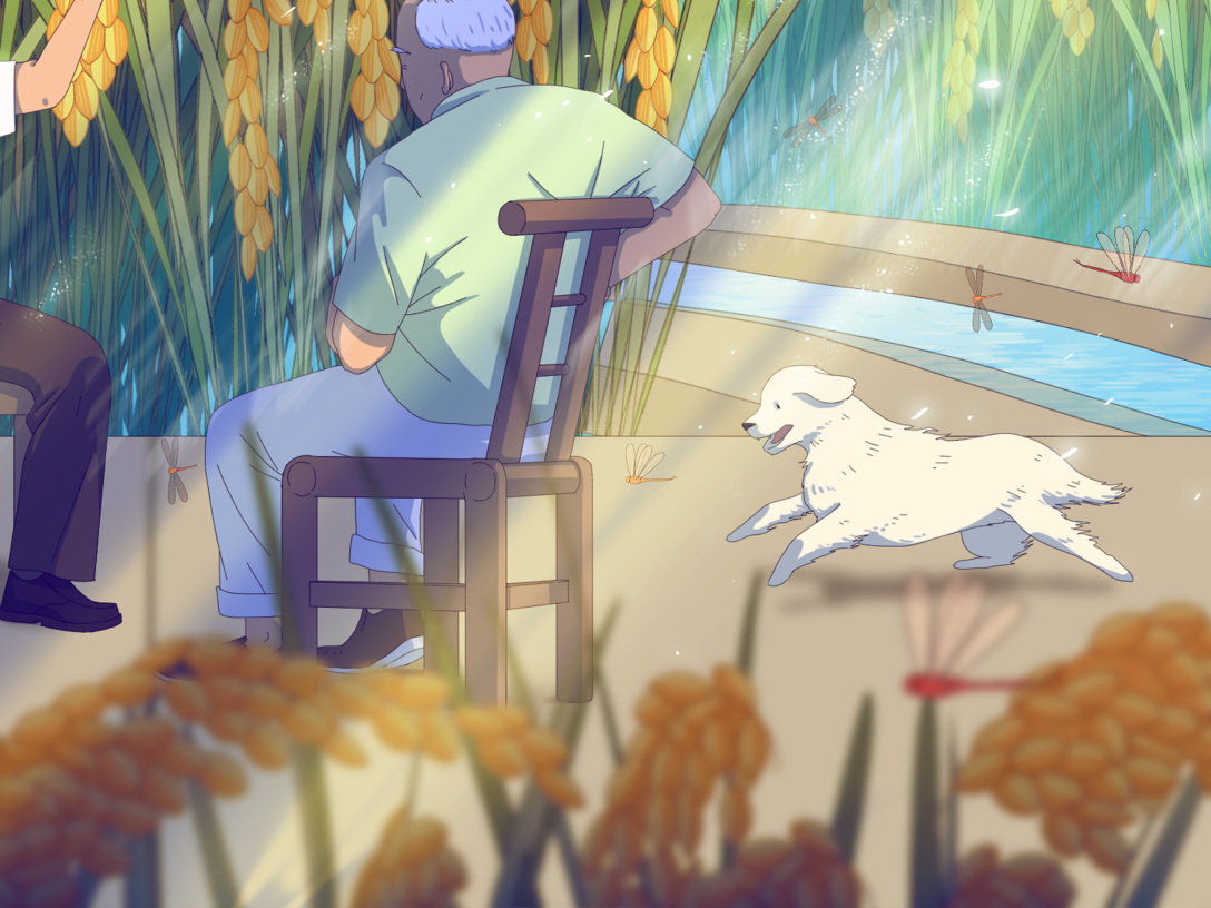 袁隆平爷爷的禾下乘凉梦