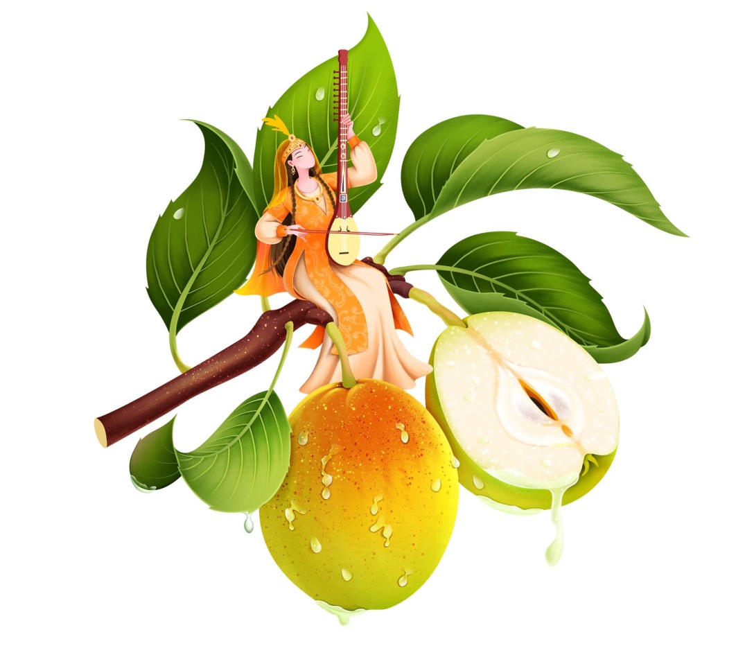 新疆特产包装插画案例两则2