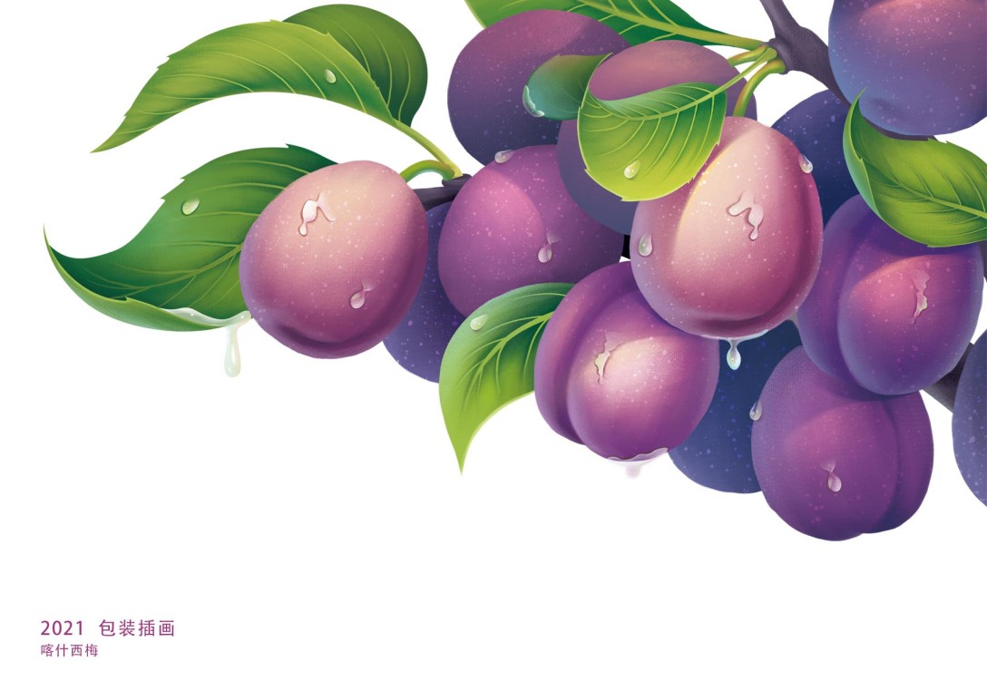 新疆特产包装插画案例两则2