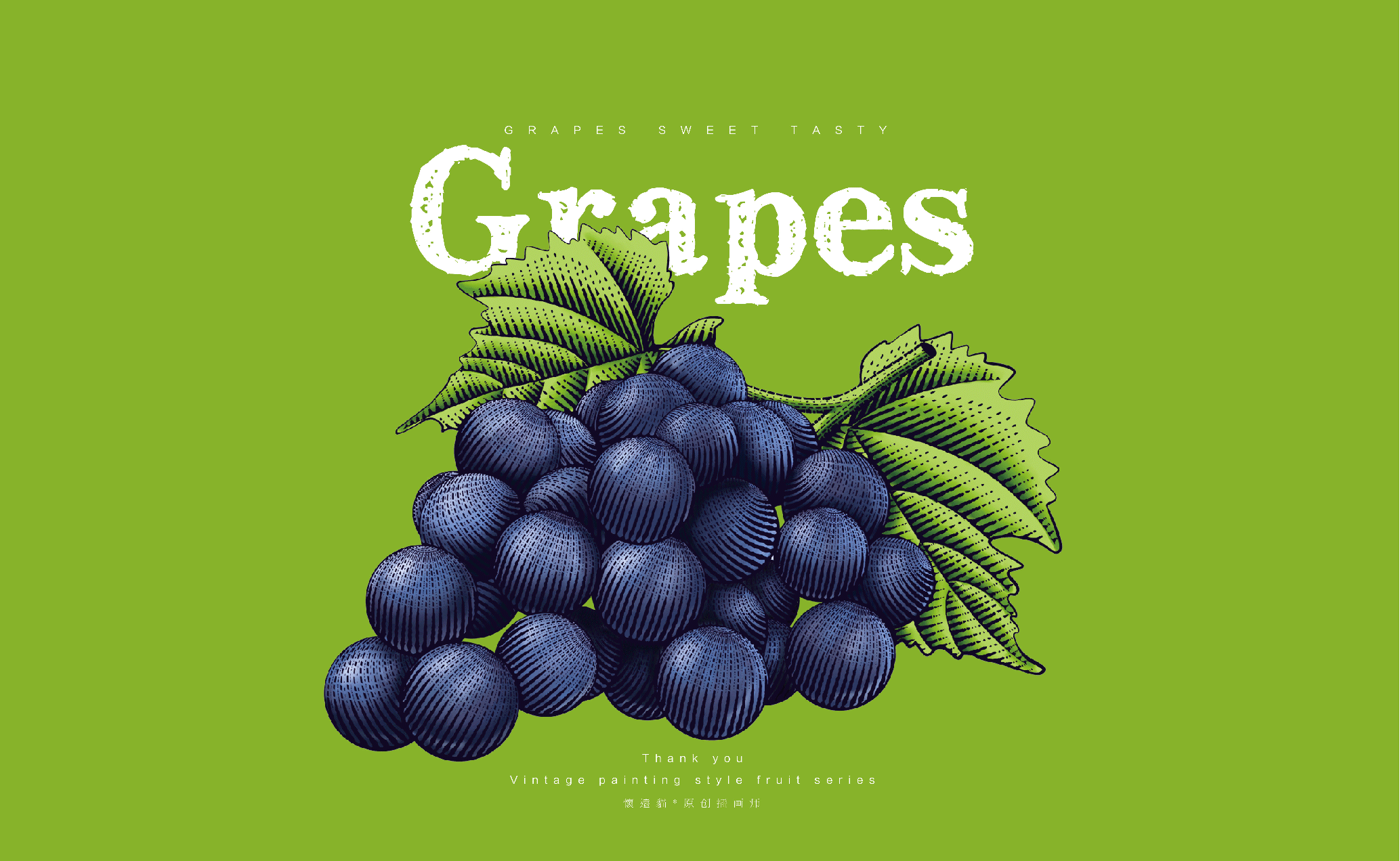 复古风系列-葡萄 懷遠貓