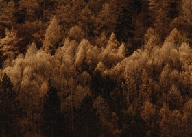 img09