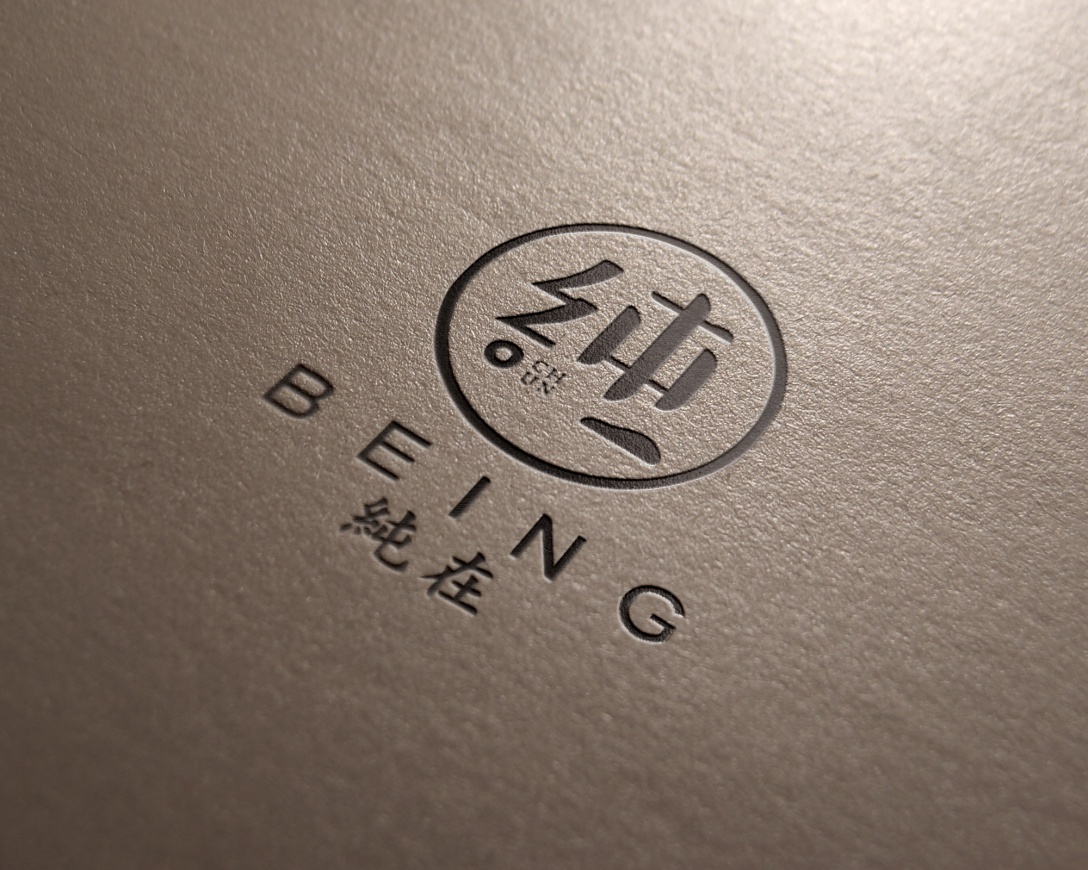 正本设计|纯在 个人新意识品牌 logo设计