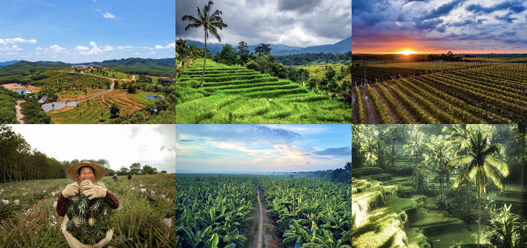 成都知言合一教育丨喜禾农场品牌形象设计