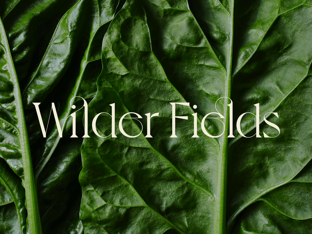 schreronick rissmeyerstacey donaldsonteam:identity for vertical