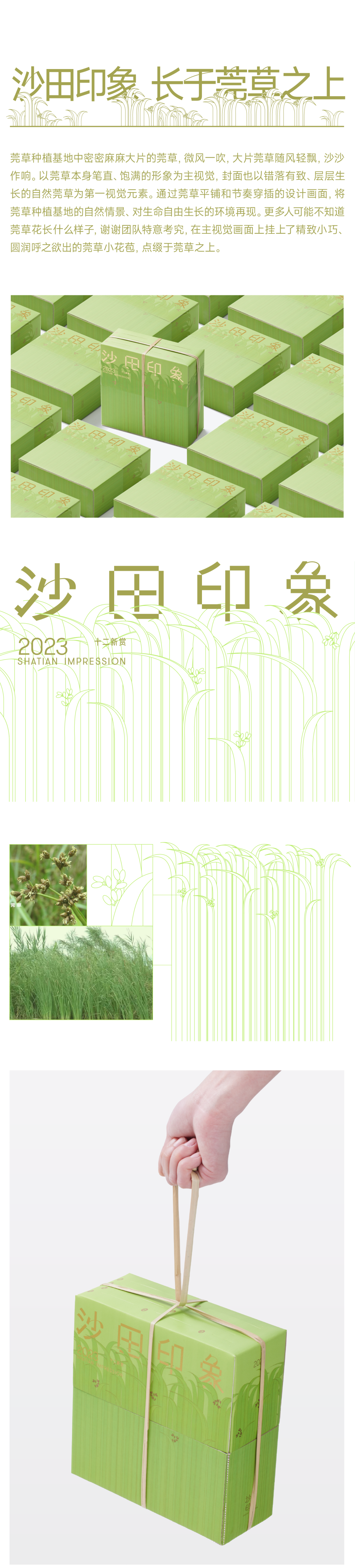 沙田印象莞草精神坚韧不拔