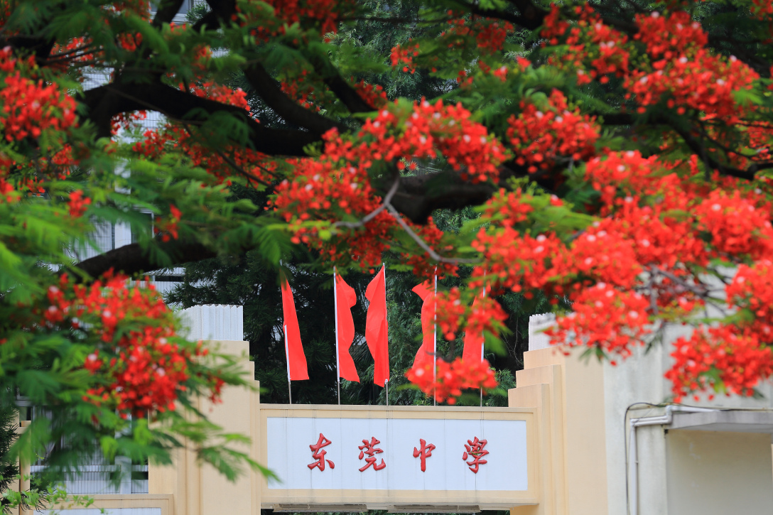 百年印记知遇莞中