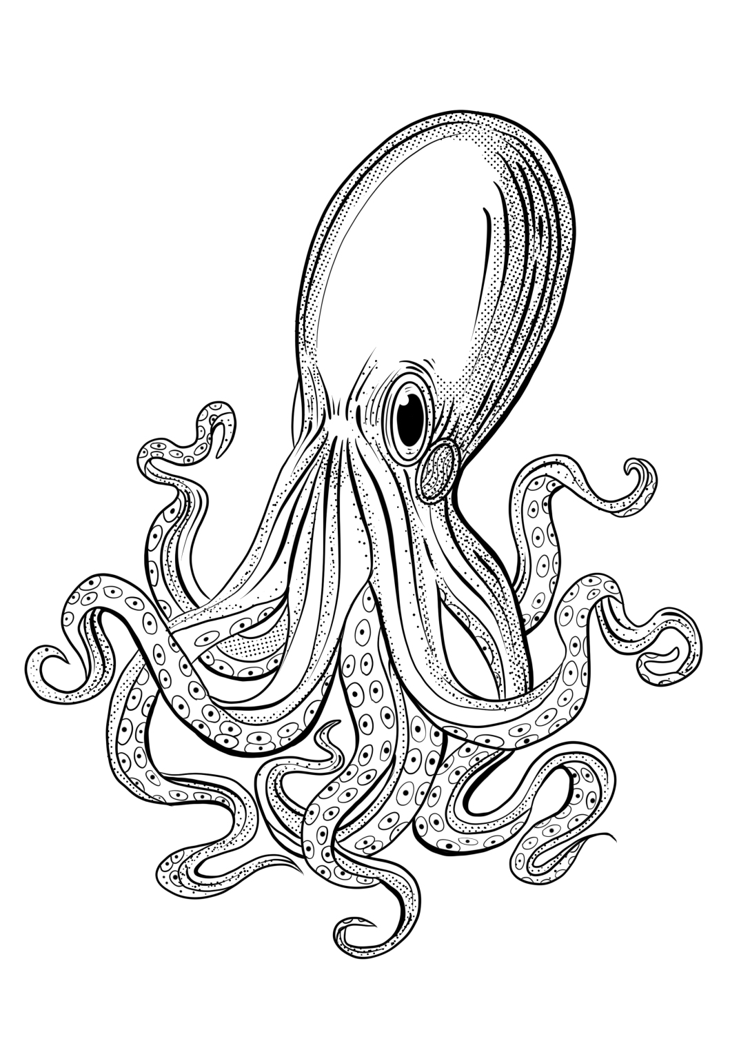 海洋食物链系列海报插画习作